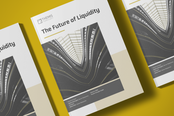 Abbild Cover Zukunftsanalyse Liquidität