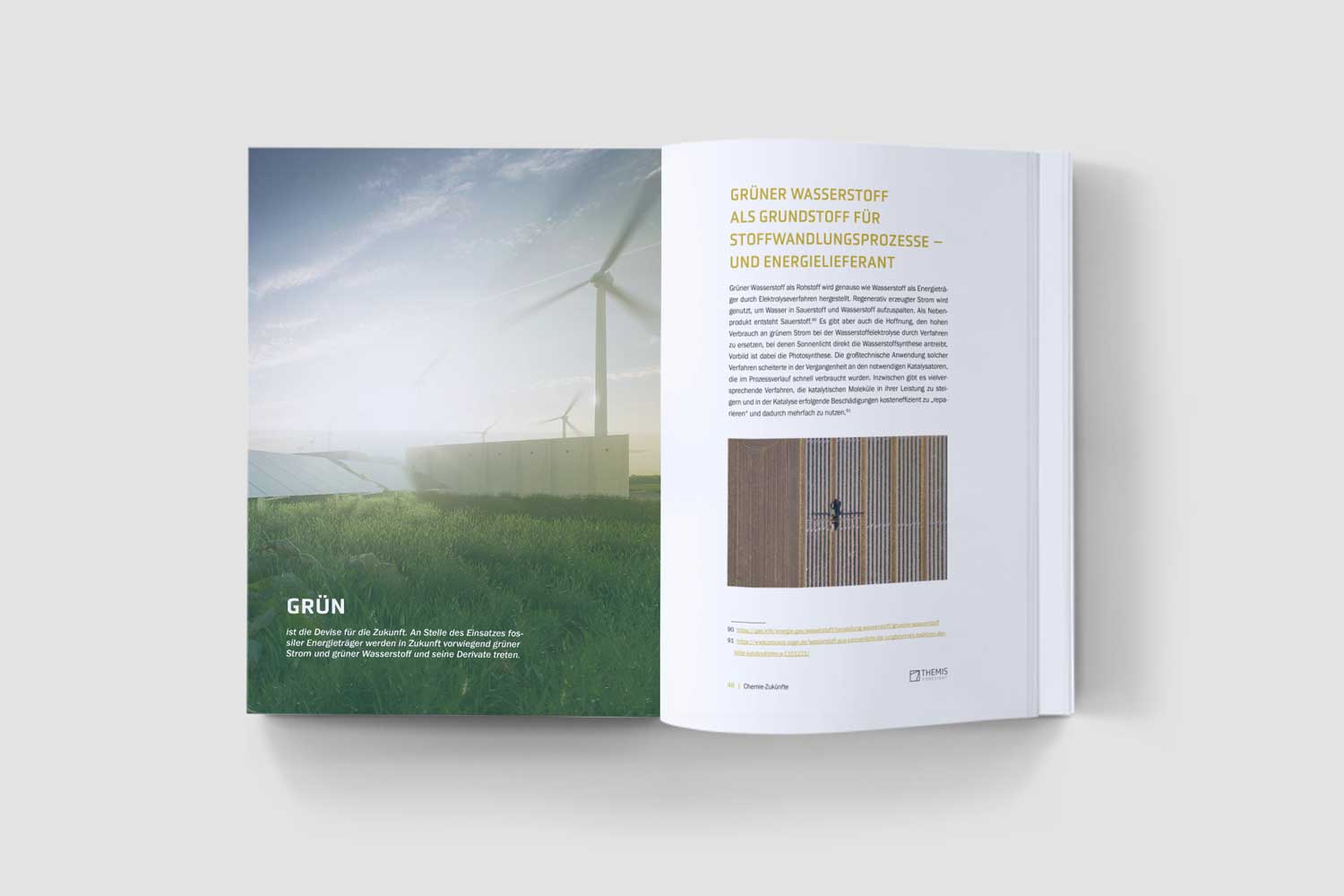 Inhalt der Studie aufgeklappt