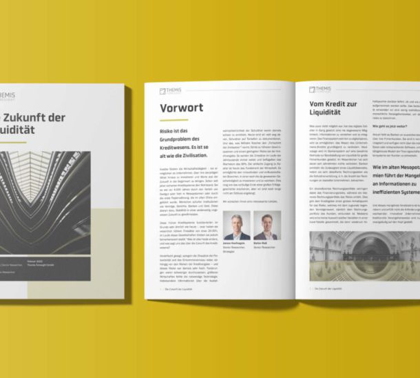 Abbild Cover Zukunftsanalyse Liquidität